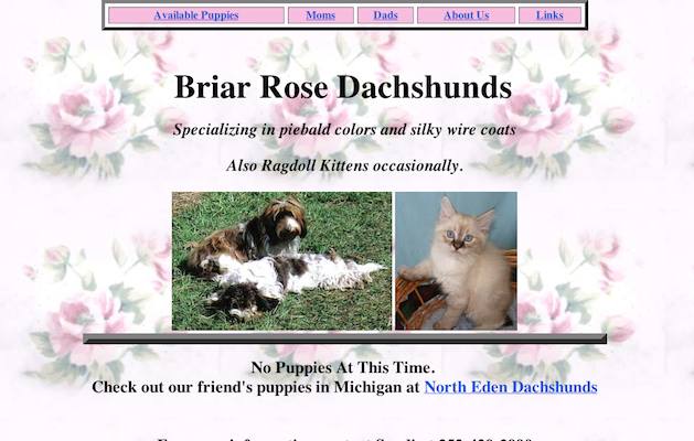 Briar Rose Dachshunds Website