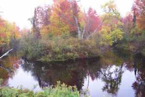 Fox river