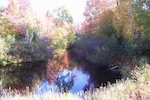 Fox river