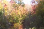 Fox river